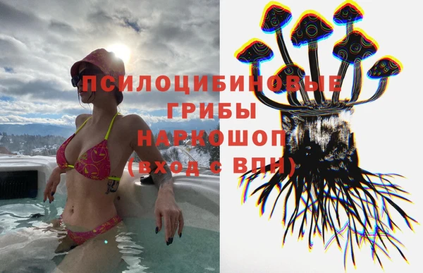 трава Магас