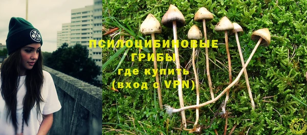 мдпв Магадан