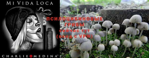мдпв Магадан
