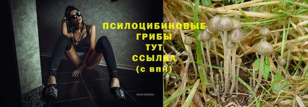 трава Магас