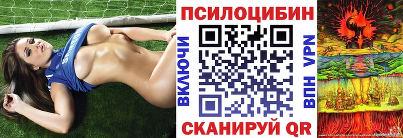 Купить закладки  Сальск  Галлюциногенные грибы мицелий 